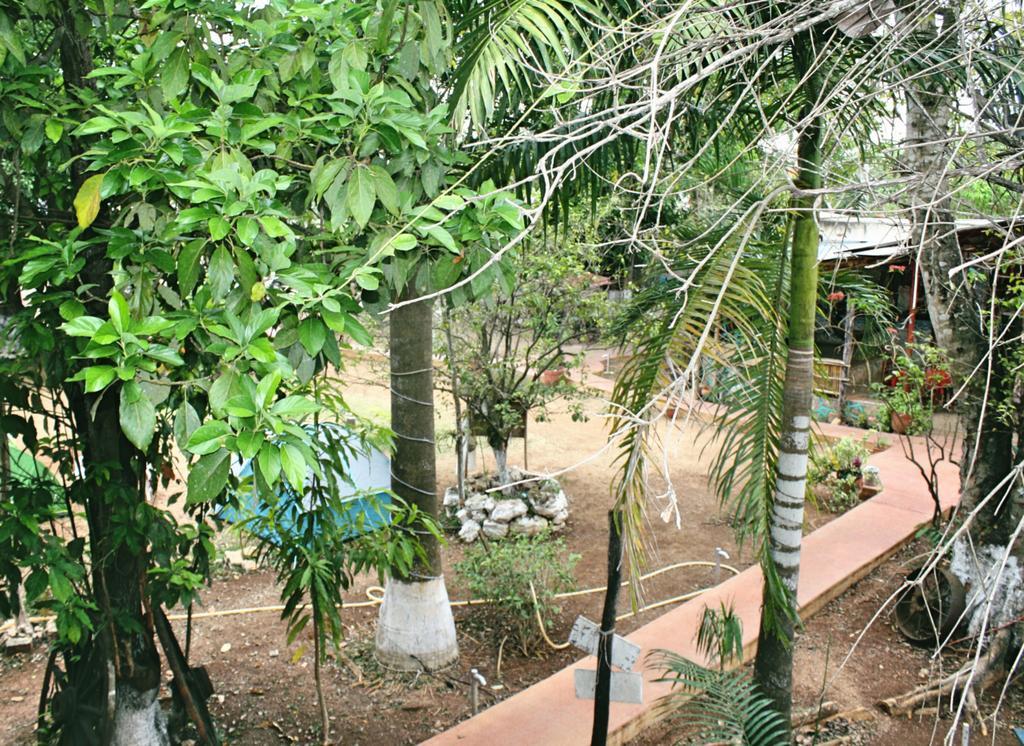 Yaxche Centro Hostal Y Camping Бакалар Екстериор снимка